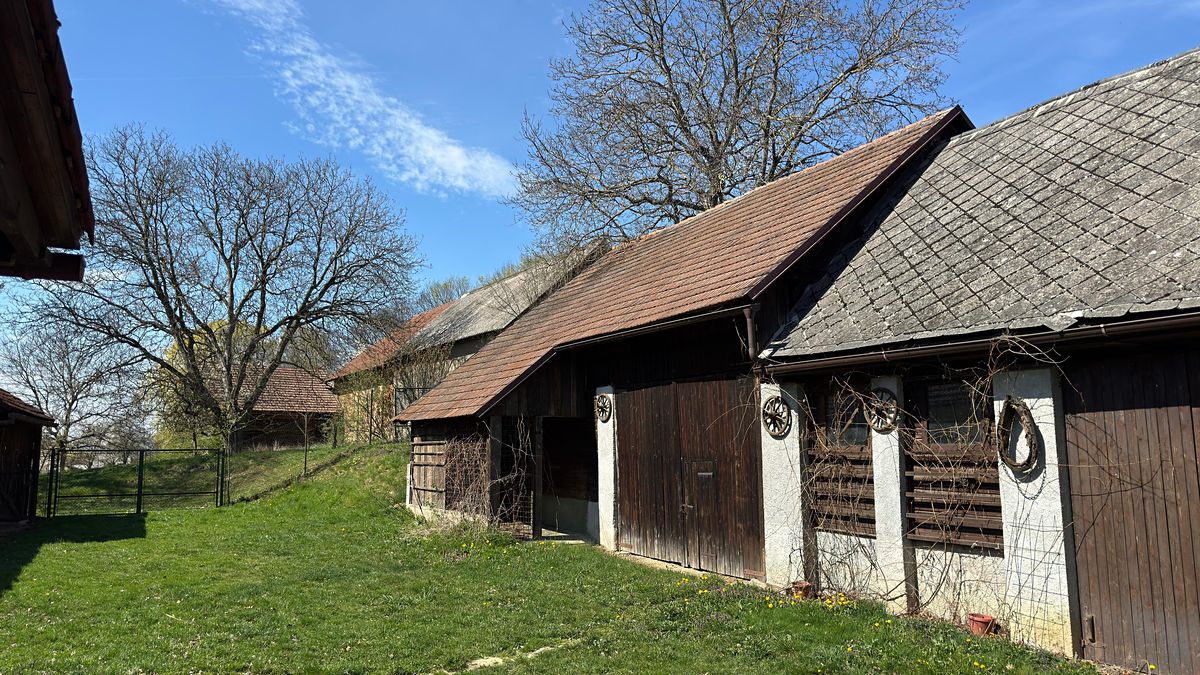 Prodej zemědělské usedlosti 290 m², pozemek 7612 m² – fotografie 3
