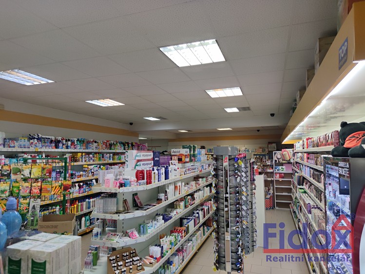 Prodej domu, 400 m² (7 z 26)