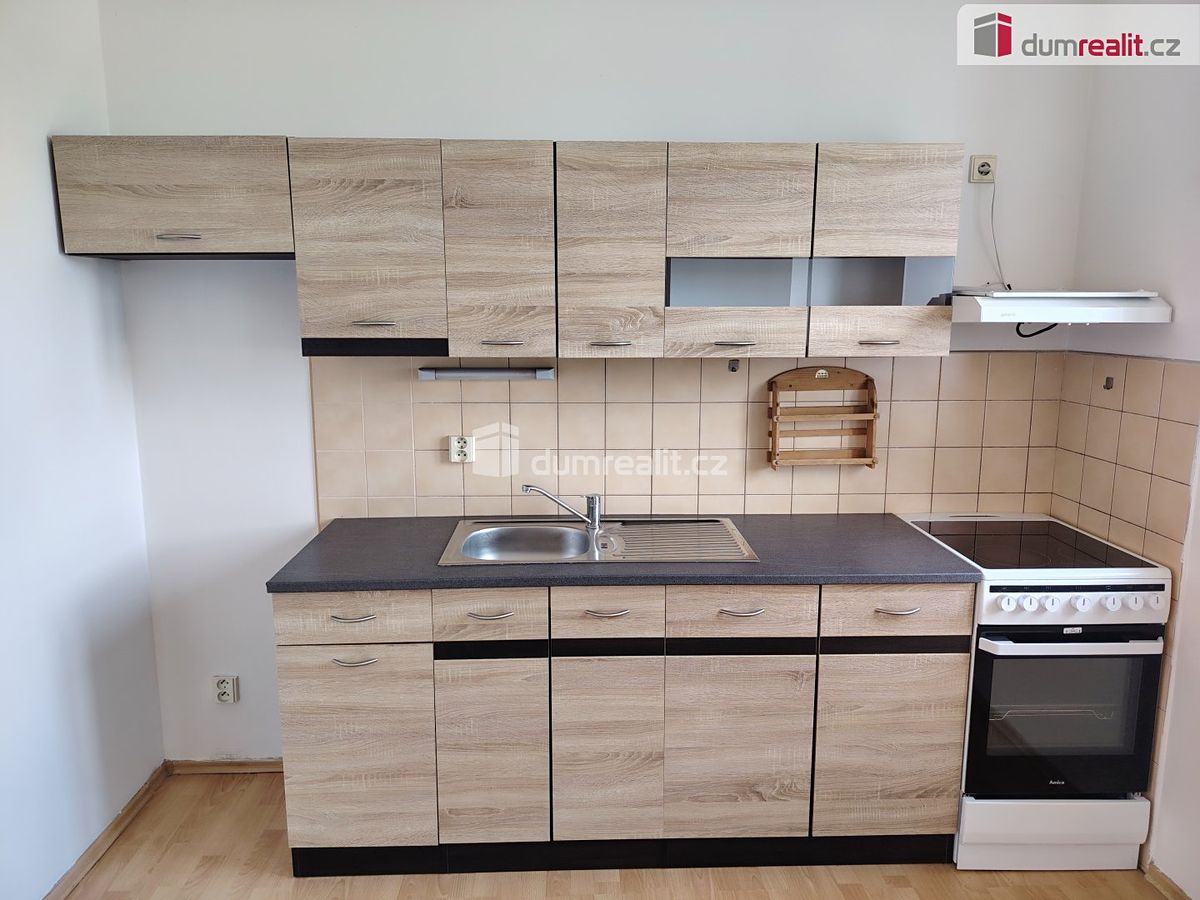 Pronájem bytu 1+1 45 m² – fotografie 2