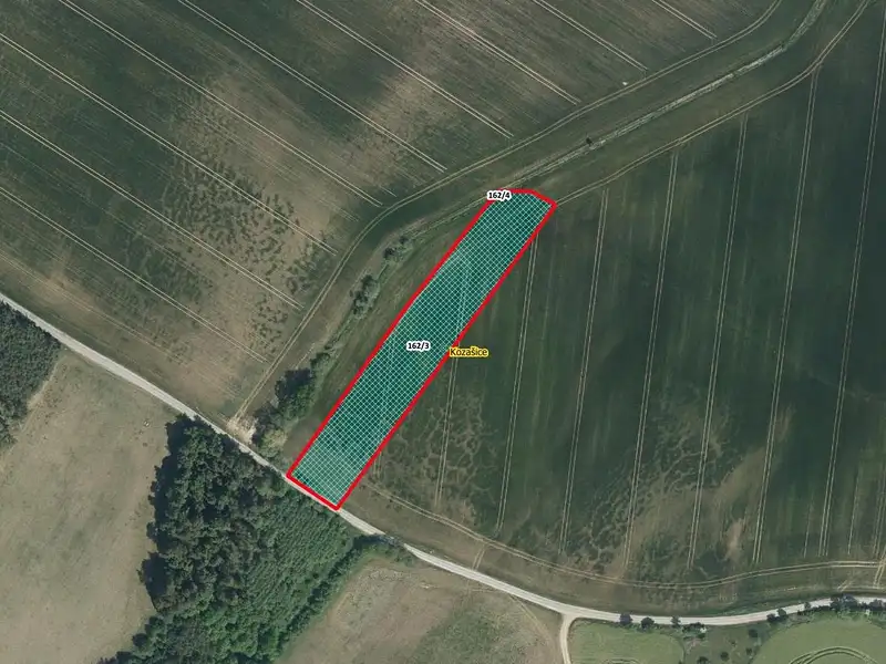 Prodej pole 6844 m², Jankovice – náhled fotky 1