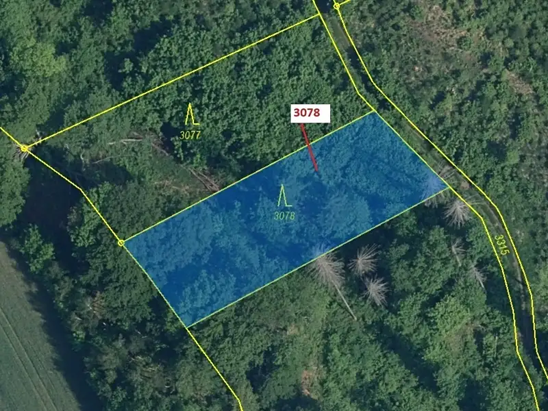 Dražba lesa 1110 m², Benešov u Semil – náhled fotky 2