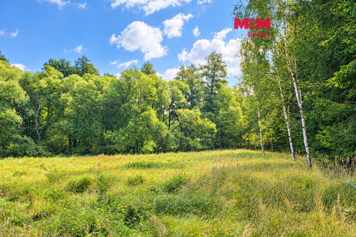 Prodej louky 10113 m²
