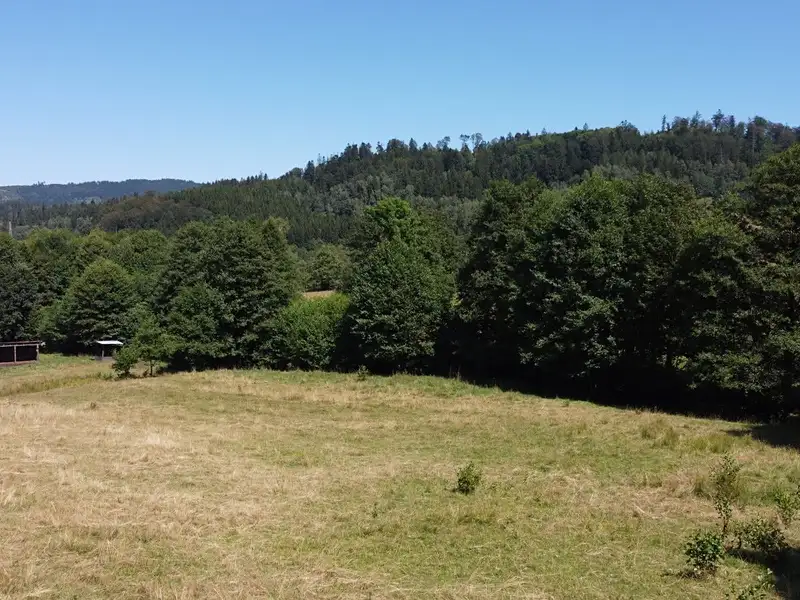 Prodej stavebního pozemku 3446 m², Olešnice v Orlických horách – náhled fotky 2