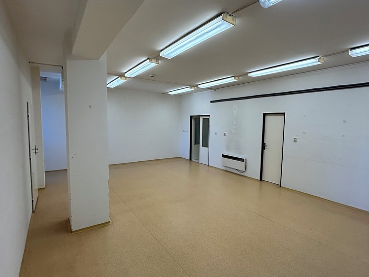 Prodej komerčního prostoru, 955 m² (25 z 43)