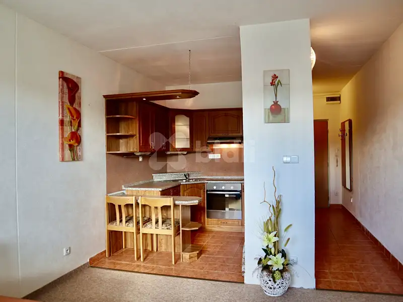Pronájem bytu 1+kk 30 m², Hlinsko – náhled fotky 2
