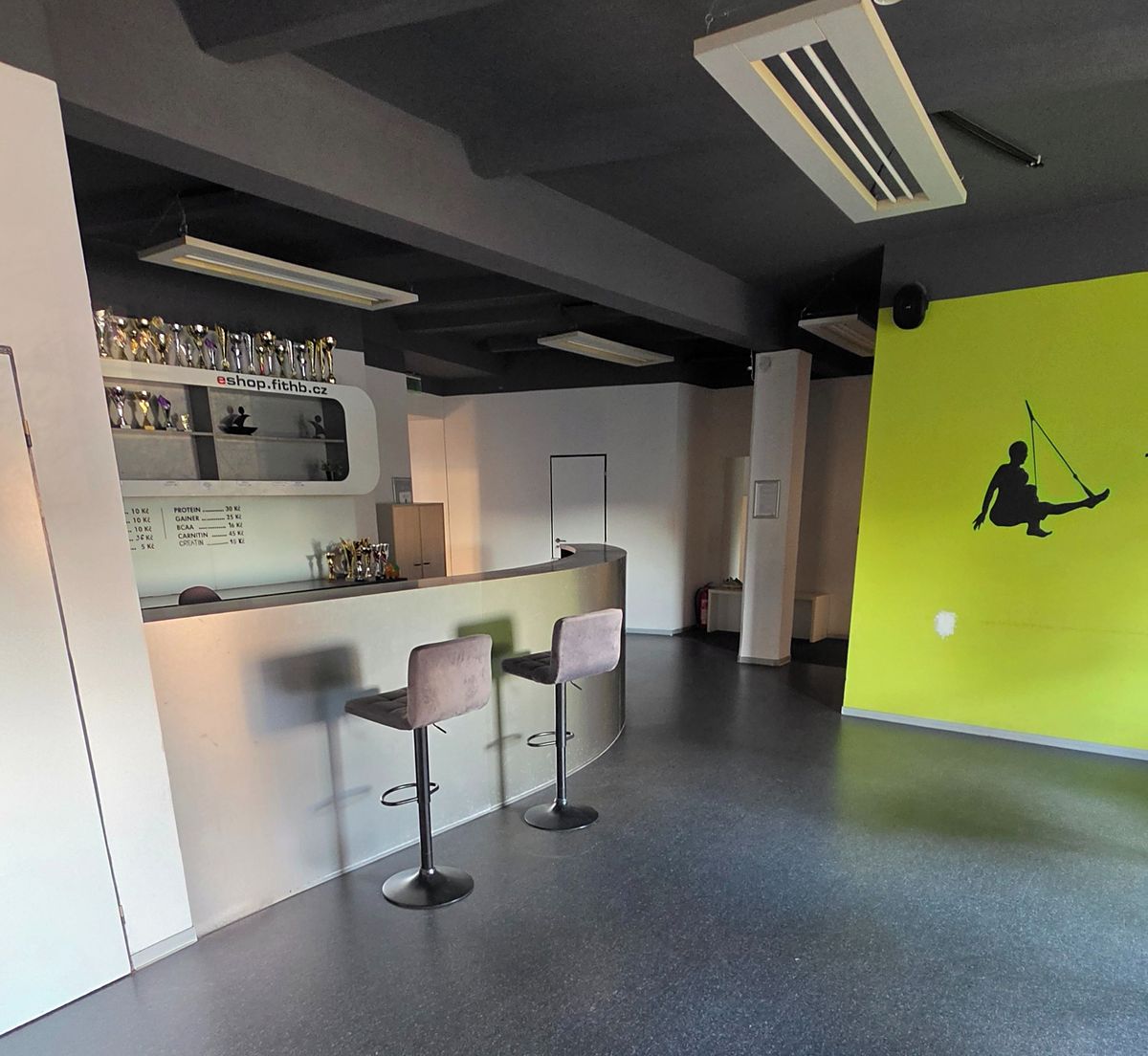 Pronájem komerční nemovitosti 550 m² – fotografie 2