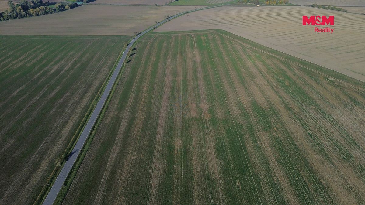 Prodej pole 5390 m² – fotografie 2