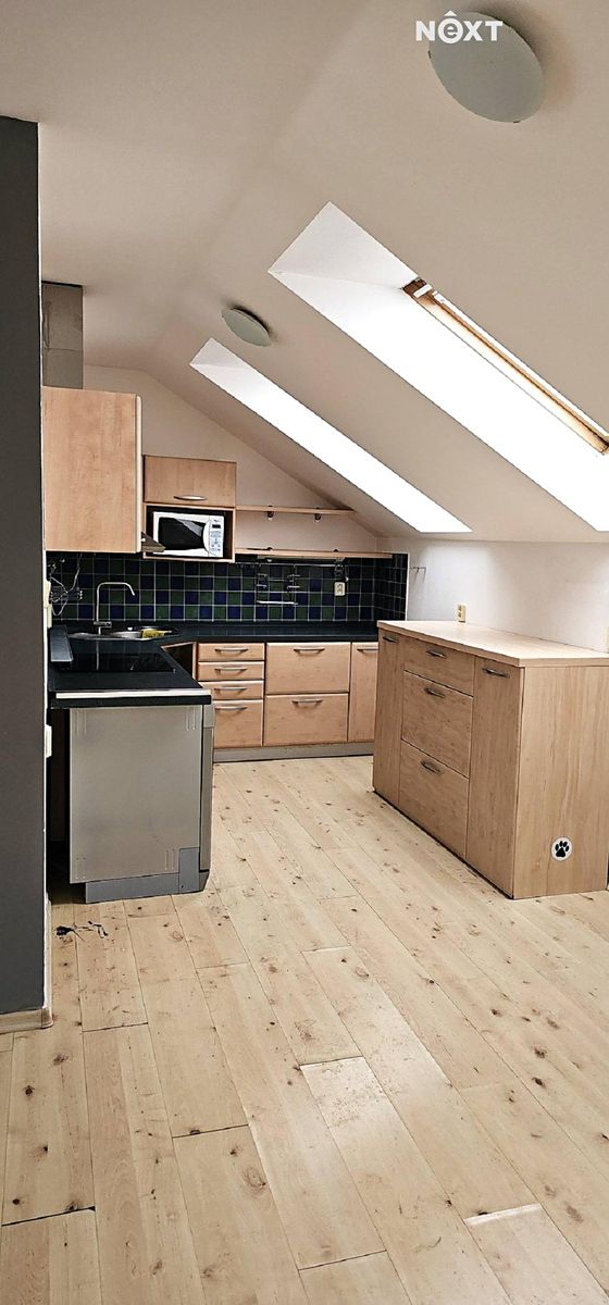 Pronájem bytu 4+kk 130 m²