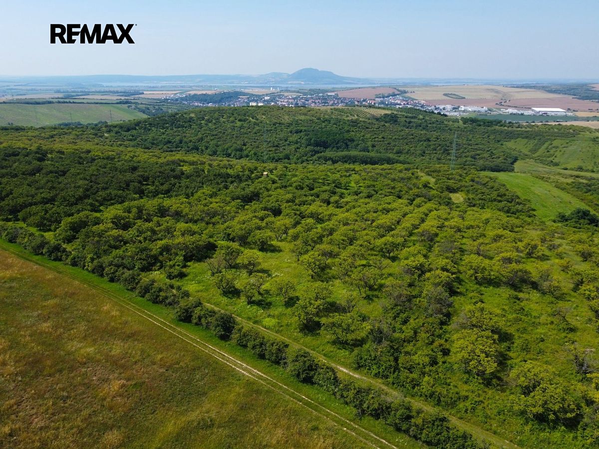 Prodej sadu, vinice 3780 m²