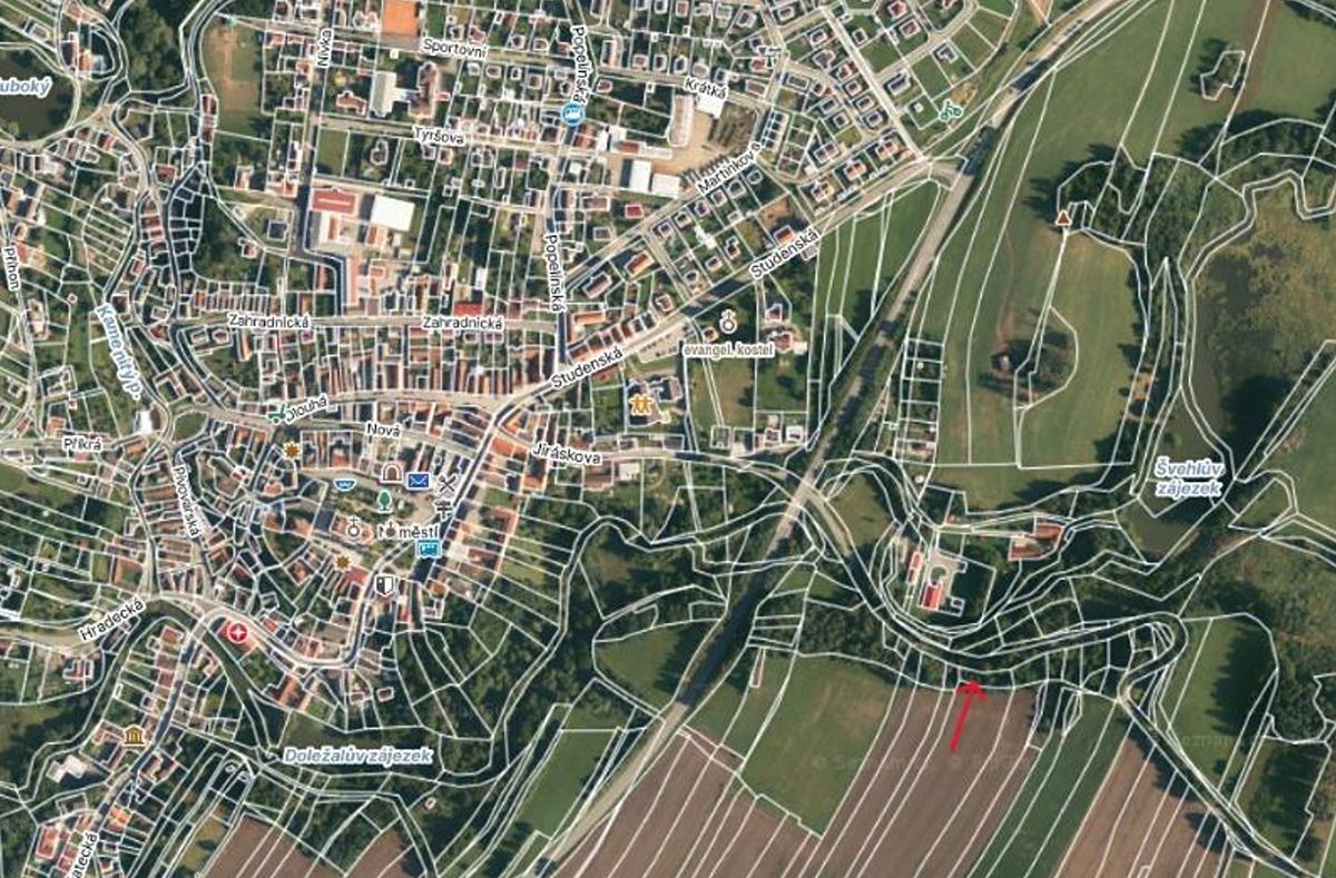 Prodej lesa 729 m² – fotografie 4