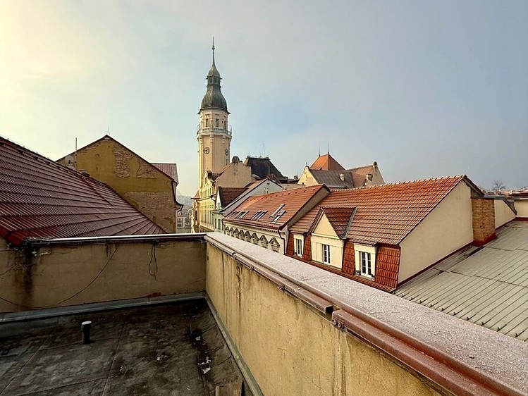 Prodej komerčního prostoru, 467 m² (14 z 14)
