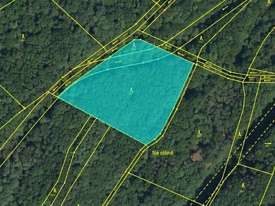 Prodej lesa 7559 m²