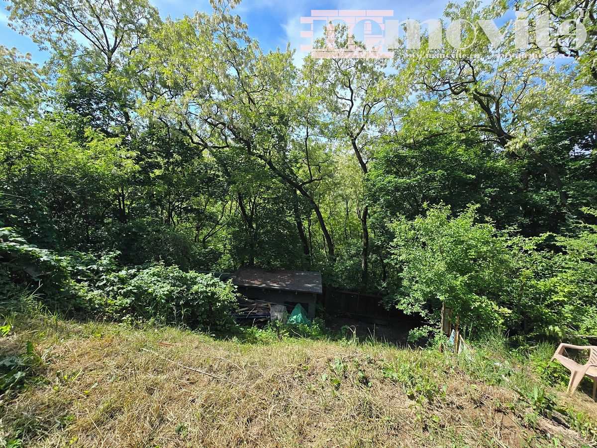 Prodej zahrady 398 m²