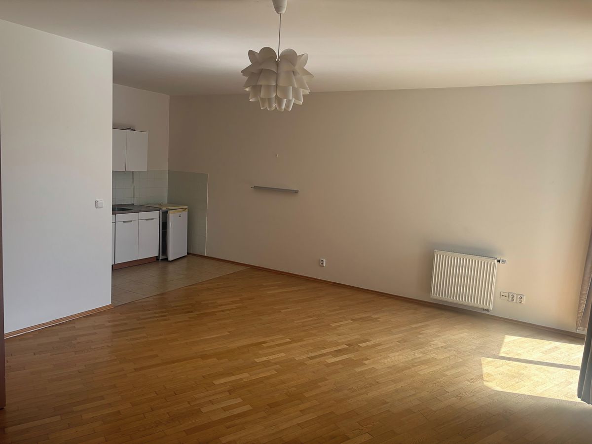 Pronájem bytu 1+kk 50 m² – fotografie 3