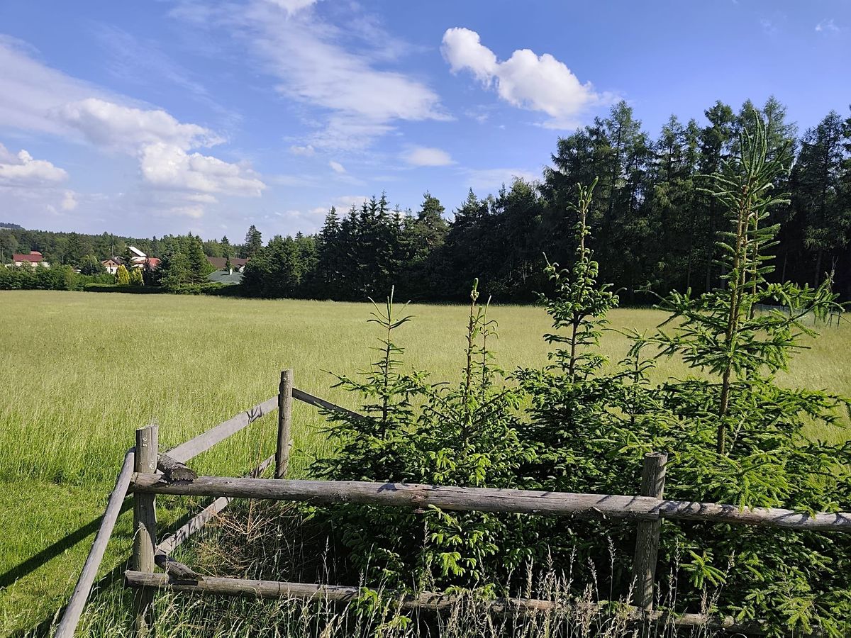 Prodej stavebního pozemku 1456 m² – fotografie 2
