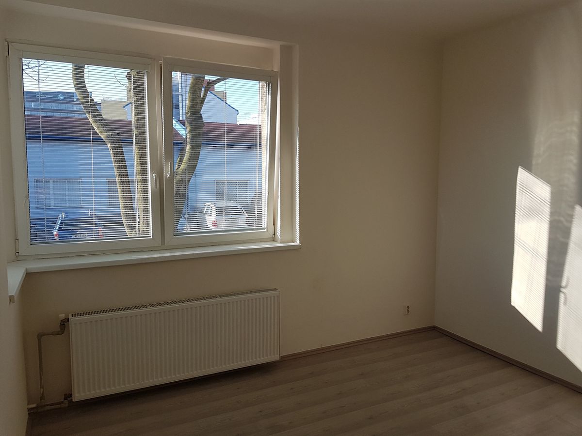 Pronájem bytu 1+kk 29 m² – fotografie 3