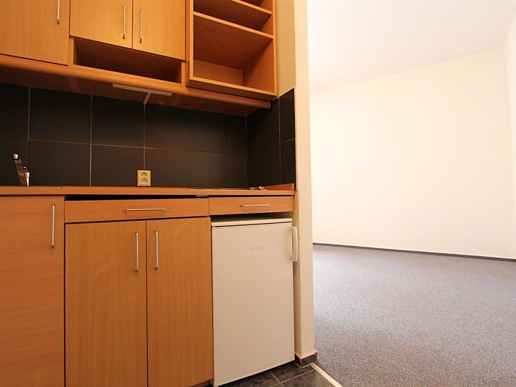Wohnung 1+kk zur Miete, 28 m² (2 von 8)