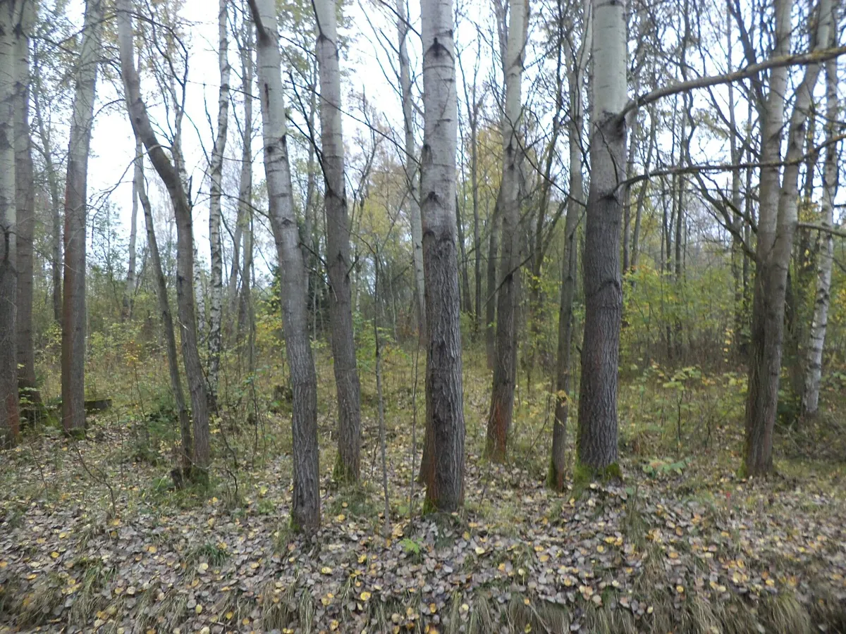 Prodej stavebního pozemku 2391 m²