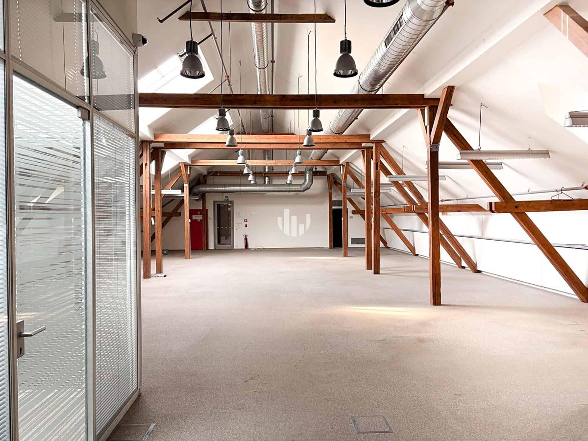 Pronájem kanceláře 446 m² – fotografie 4