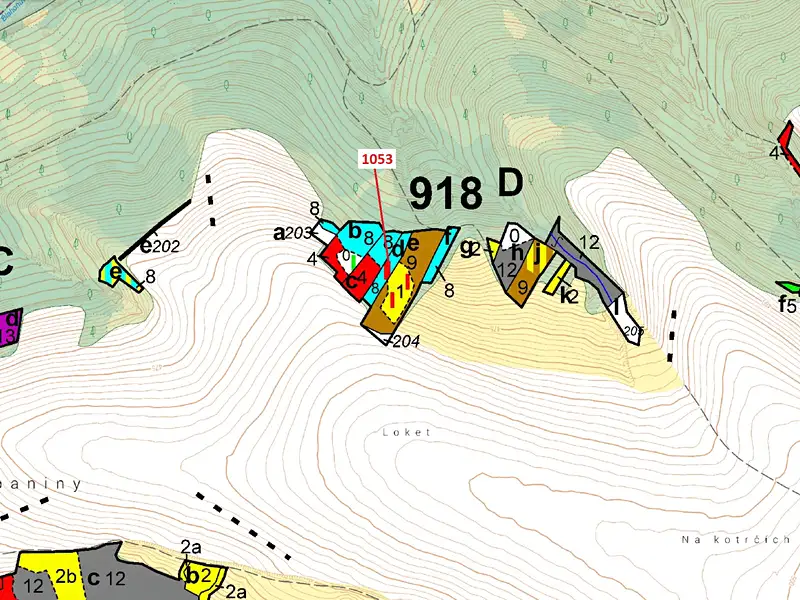 Dražba lesa 1757 m², Deblín – náhled fotky 3