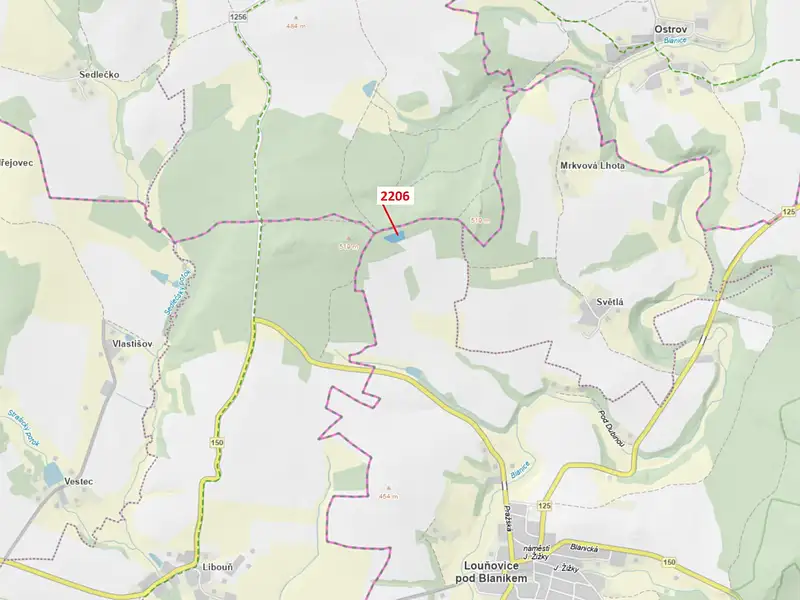 Dražba lesa 4560 m², Louňovice pod Blaníkem – náhled fotky 1