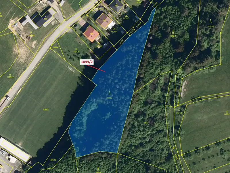 Dražba lesa 5255 m², Trnava – náhled fotky 2