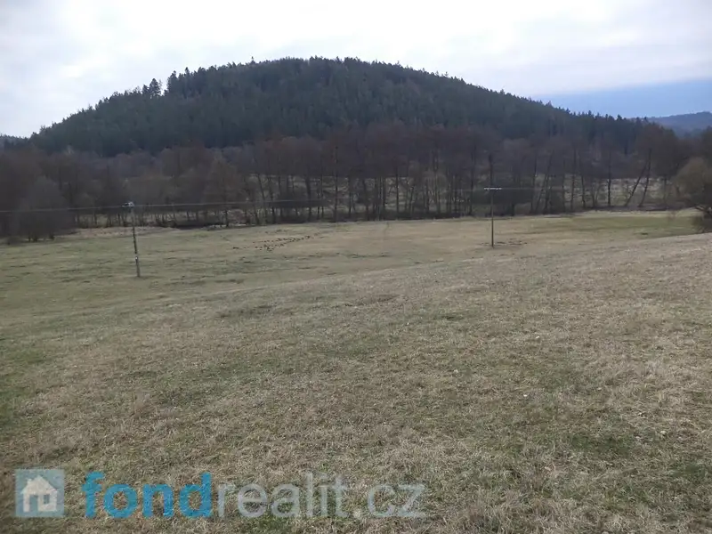 Prodej pozemku 6407 m², Chyše – náhled fotky 3