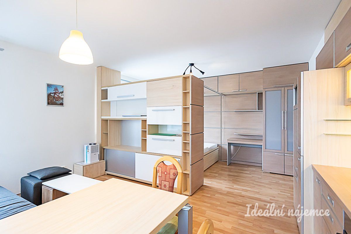 Pronájem bytu 1+kk 40 m² – fotografie 3