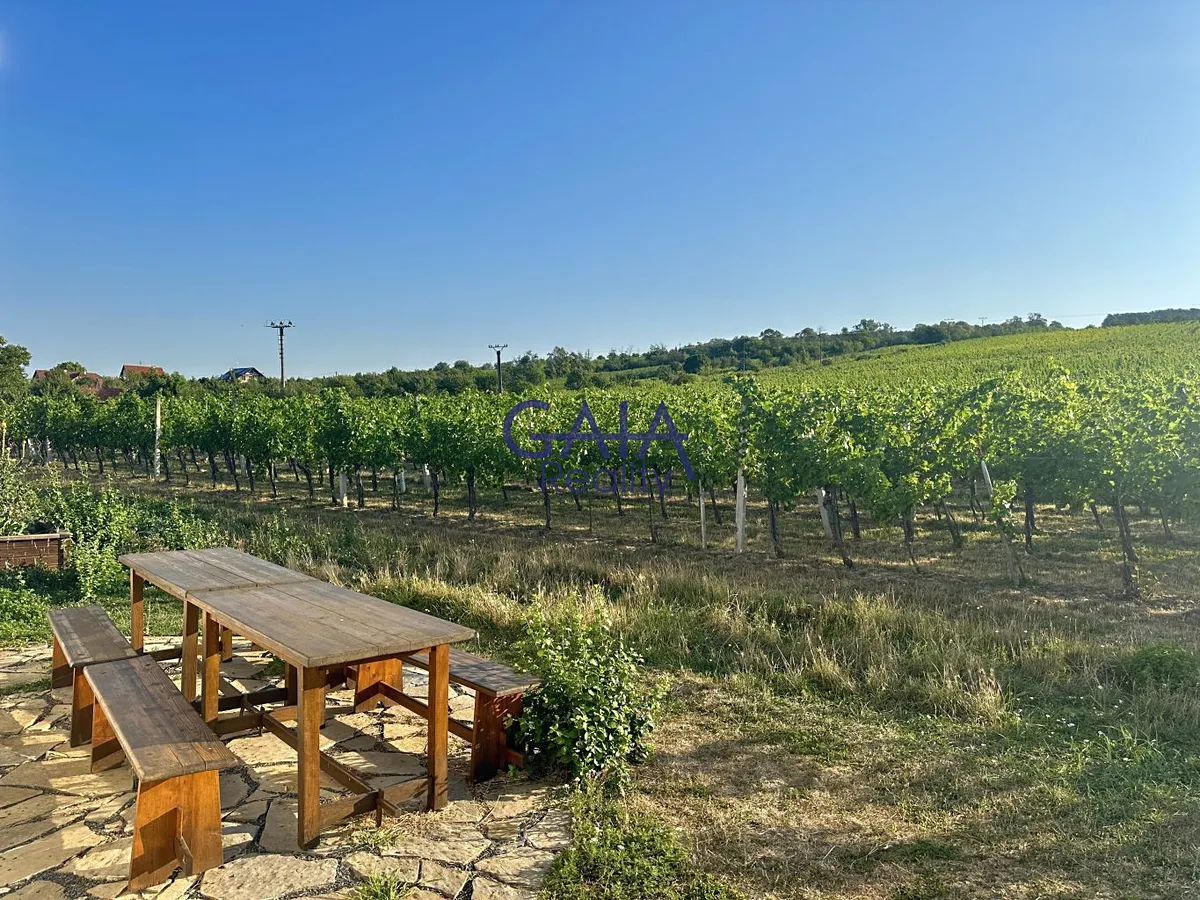 Prodej pole 934 m²