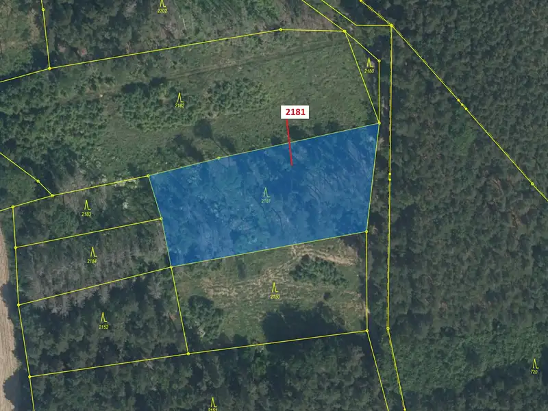 Dražba lesa 4236 m², Louňovice pod Blaníkem – náhled fotky 2