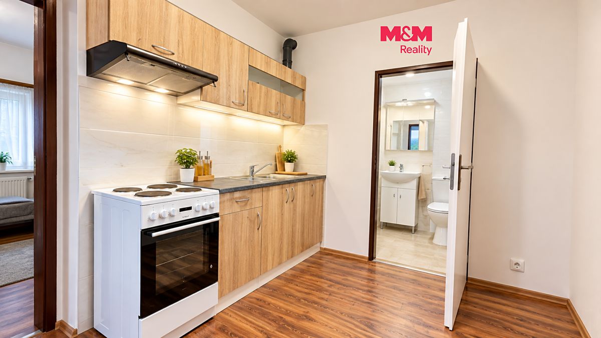 Pronájem bytu 1+kk 50 m²