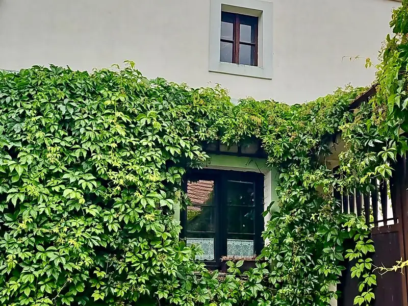 Prodej vícegeneračního domu 360 m², pozemek 1570 m², Hořovičky – náhled fotky 2