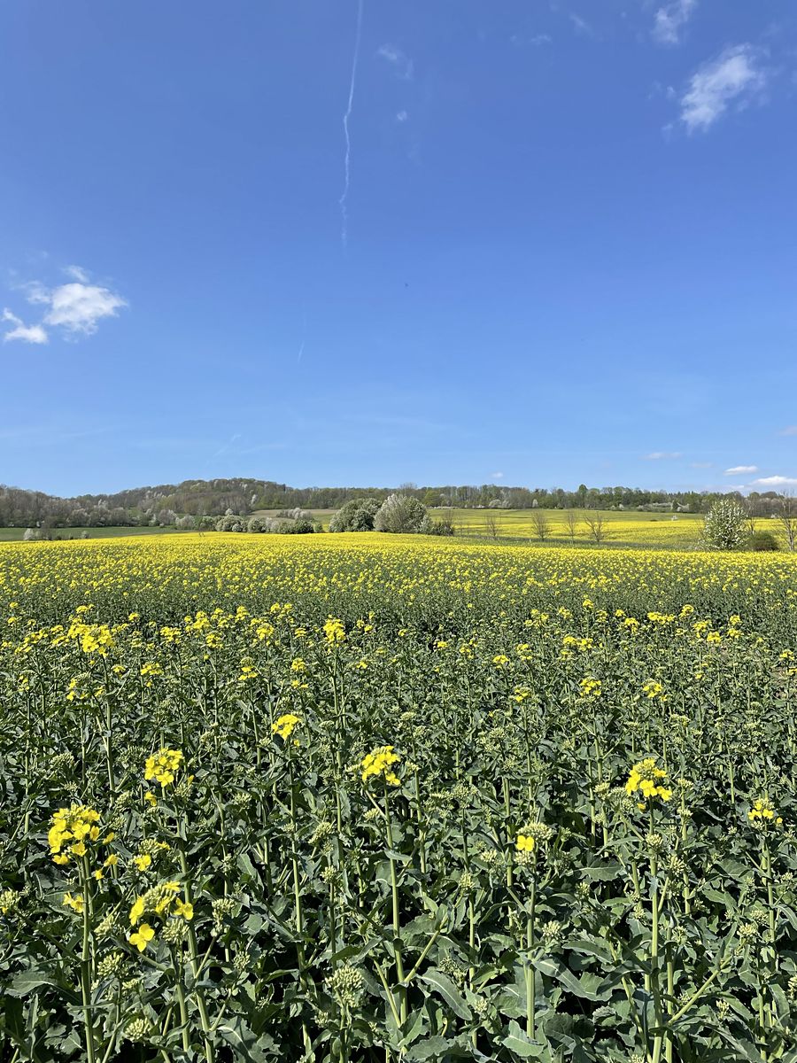 Prodej pole 34138 m² – fotografie 2