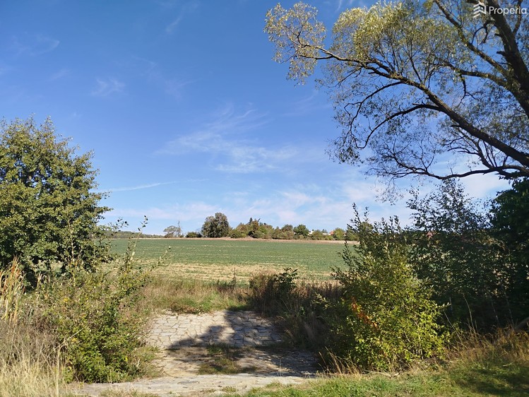 Grundstück zum Kauf, 56.184 m² (11 von 20)