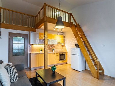 Pronájem bytu 1+kk 30 m²