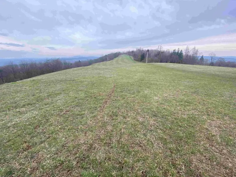 Dražba louky 14714 m², Mírová pod Kozákovem – náhled fotky 1