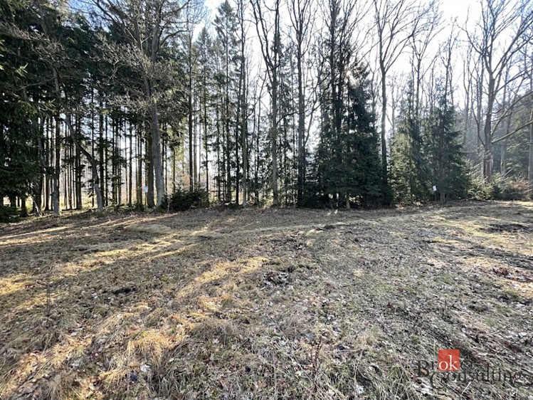 Grundstück zum Kauf, 3.298 m² (5 von 9)