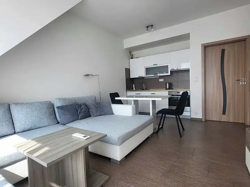 Pronájem bytu 2+kk 49 m², České Budějovice – náhled fotky 2