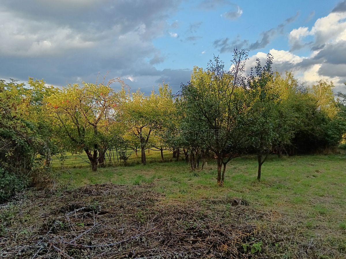 Prodej stavebního pozemku 3043 m² – fotografie 4