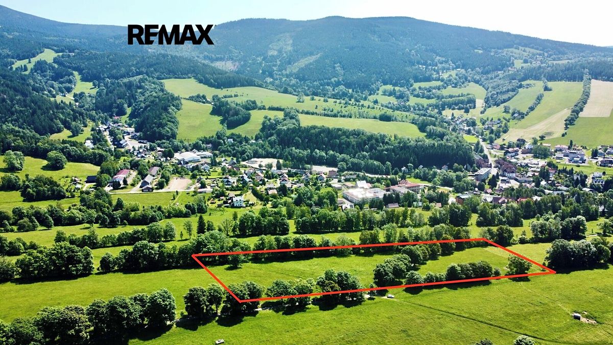 Prodej louky 8007 m² – fotografie 3