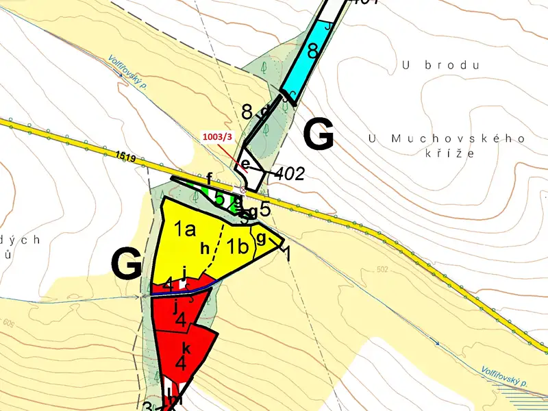 Dražba lesa 1093 m², Volfířov – náhled fotky 3