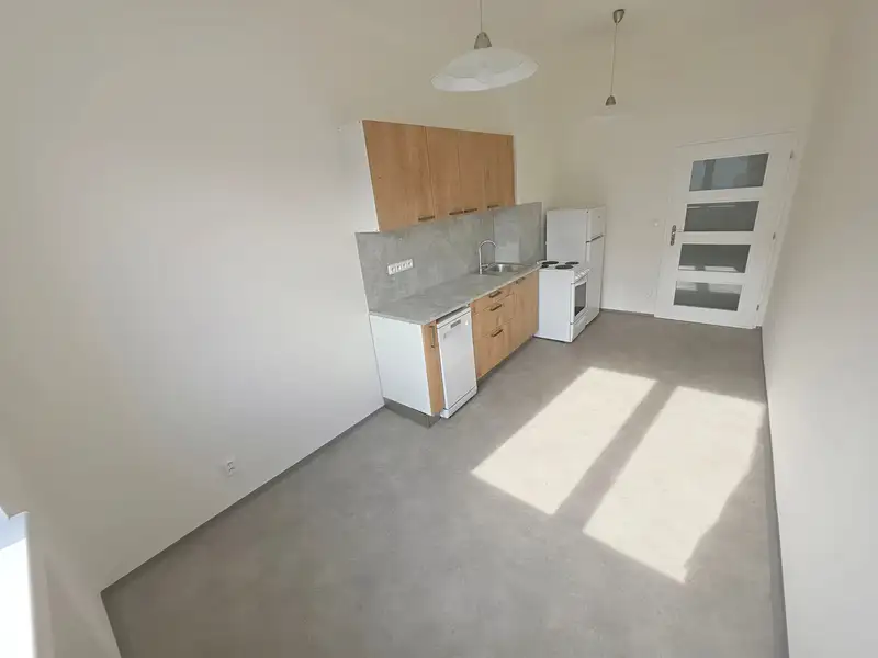 Pronájem bytu 1+1 45 m², Praha – náhled fotky 3
