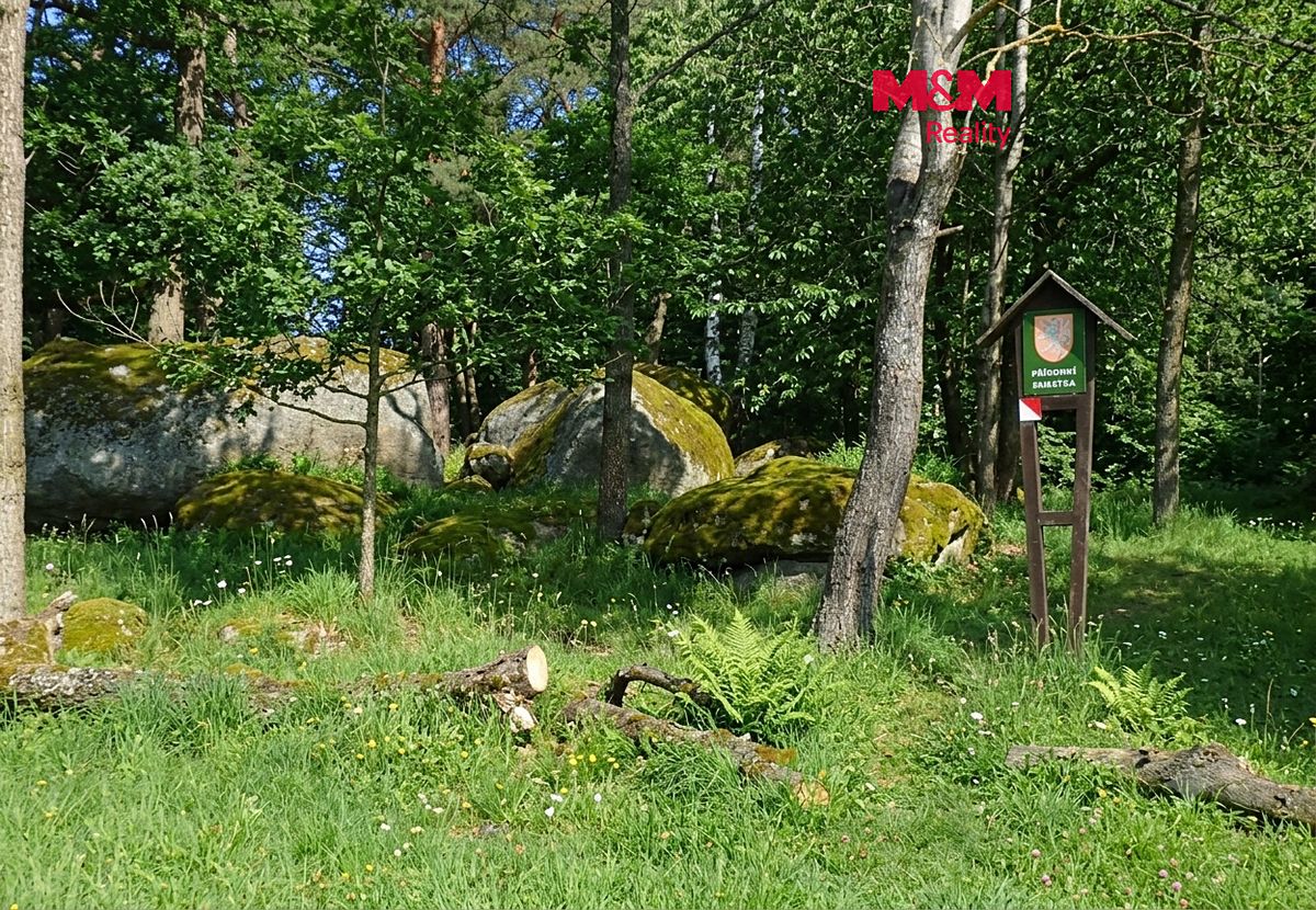 Prodej lesa 7042 m², Petrovice – fotka 1 z 3