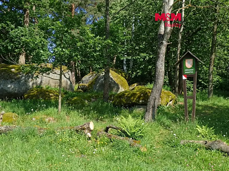 Prodej lesa 7042 m², Petrovice – náhled fotky 1