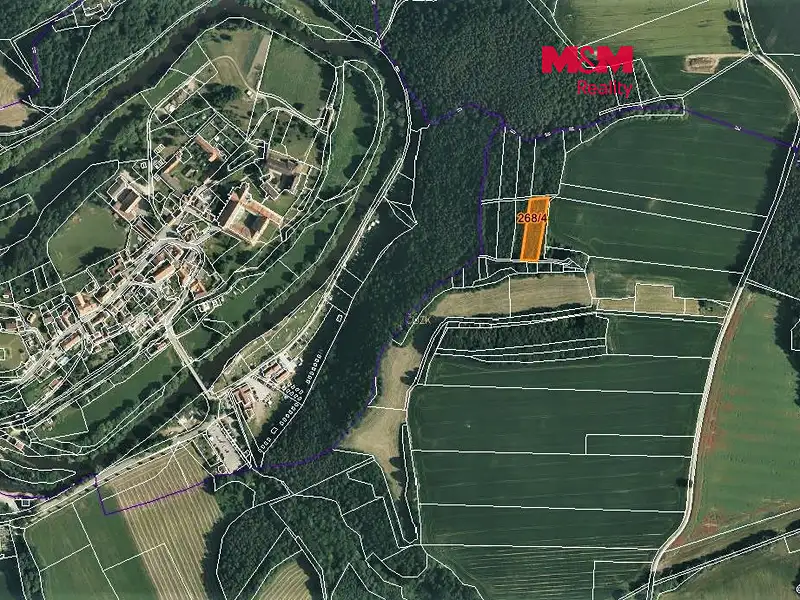 Prodej lesa 2465 m², Zlatá Koruna – náhled fotky 1