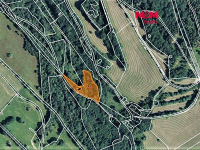 Prodej lesa 4983 m²