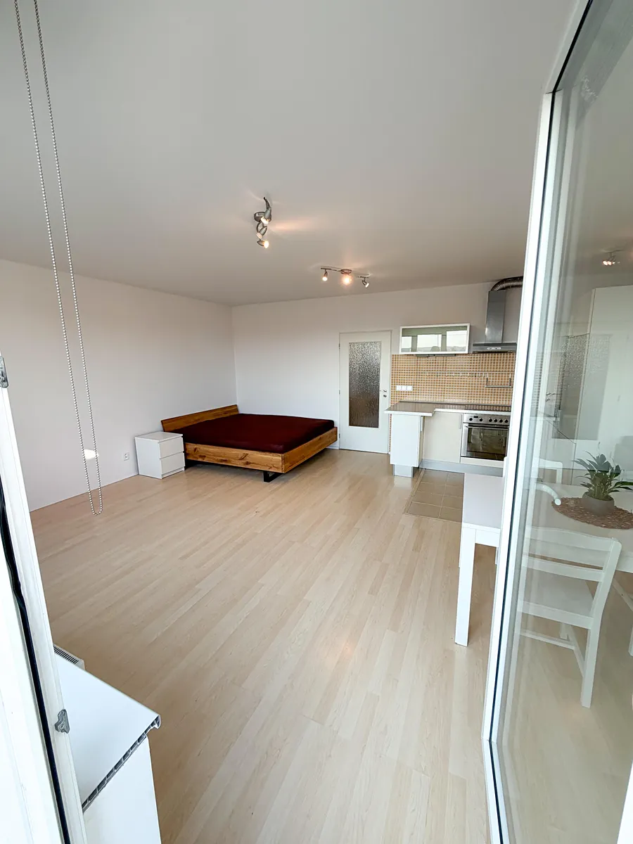 Pronájem bytu 1+kk 42 m²