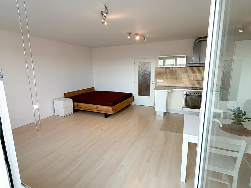 Pronájem bytu 1+kk 42 m², Praha – náhled fotky 1
