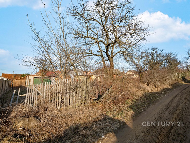 Ostatní