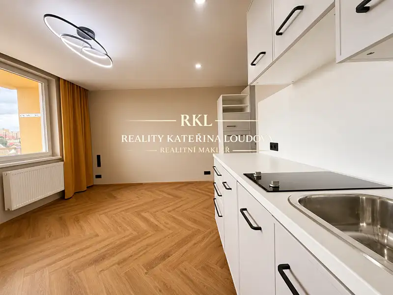 Pronájem bytu 1+kk 27 m², Plzeň – náhled fotky 3